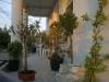 <b>Casa Cu Flori</b> Tel: 0723 398 XXX 