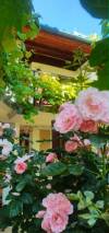 <b>Casa Gillda</b> Tel: 0762 579 300 