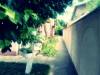 <b>Vila Magnolia</b> Tel: 0752 534 XXX 