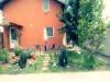 <b>Vila Magnolia</b> Tel: 0752 534 XXX 